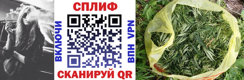 Каннабис Ильский