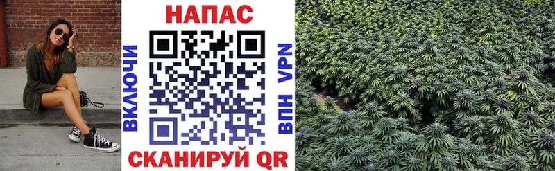 Купить закладки  Ильский  Марихуана тримм 